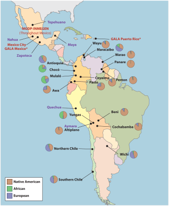 journal.pgen.1002554.g006