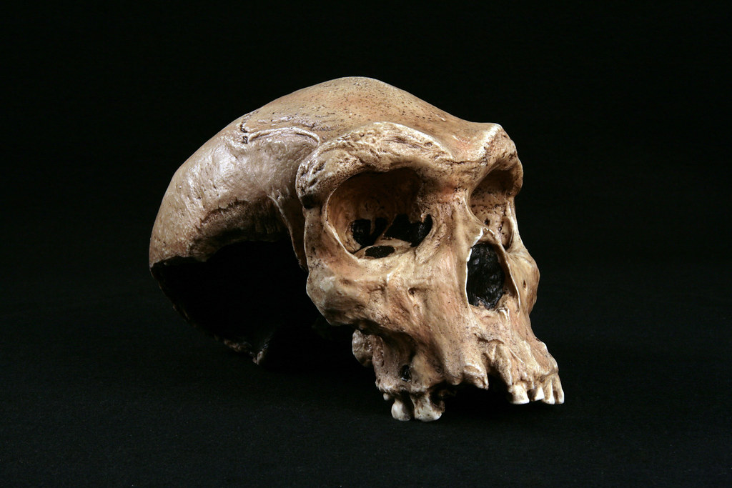 Paleoanthropology: The Ancestor Worshipping Death&nbsp;Cult